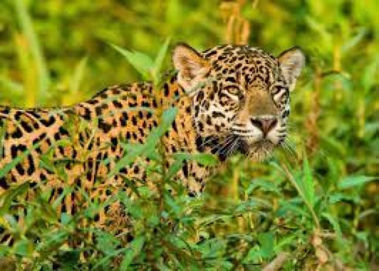 descarga - 2024-01-23T115043.880