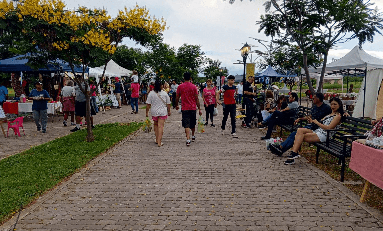 descarga - 2024-01-26T125645.872 (1)