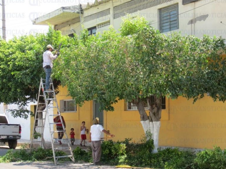 WhatsApp Image 2024-04-25 at 9.43.24 AM