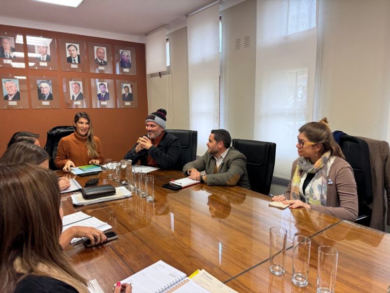 actualizara-el-sello-salta-ciudad-accesible-2-1024x768