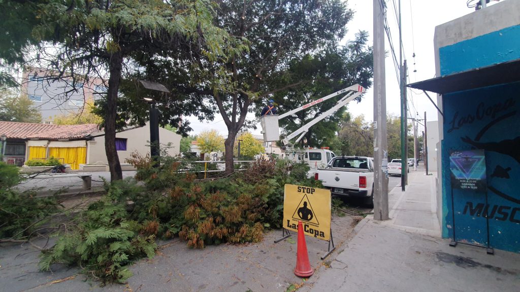 poda-canal-esteco-1-1024x576