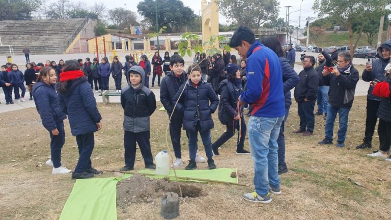 plantacion-plaza-espana-1-1024x576