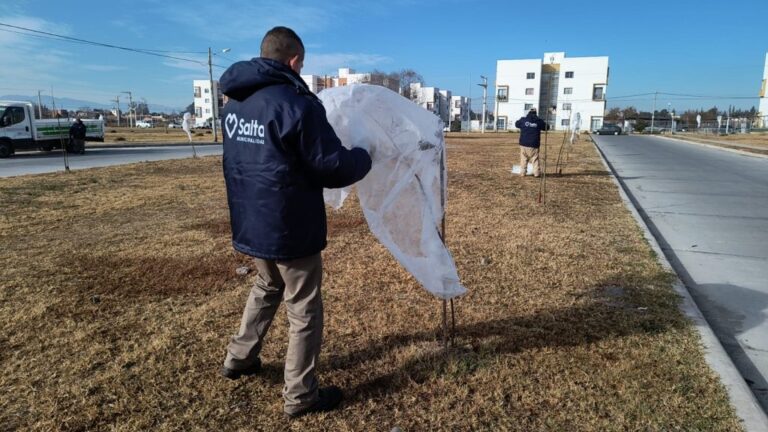 mallas-antiheladas-1-1024x576