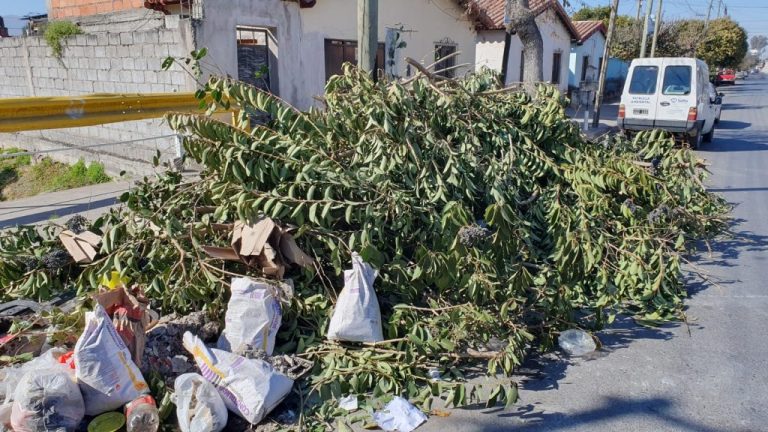 microbasural-moldes-800-6-1024x576