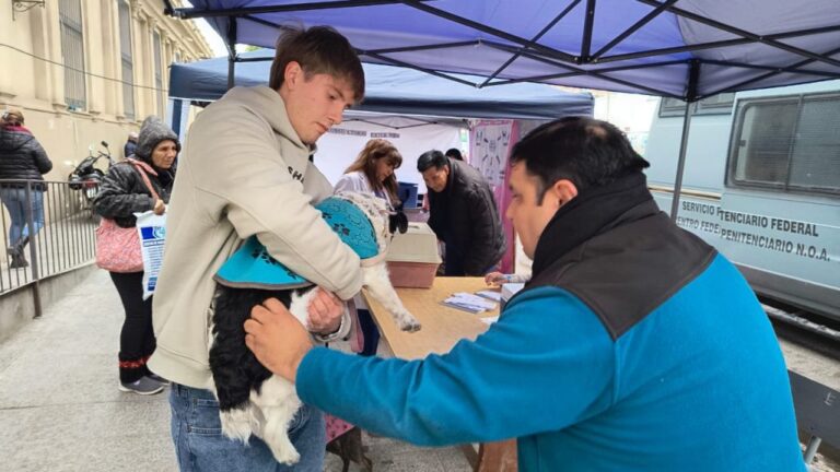 dia-de-la-zoonosis-vacunacion-3-1024x576