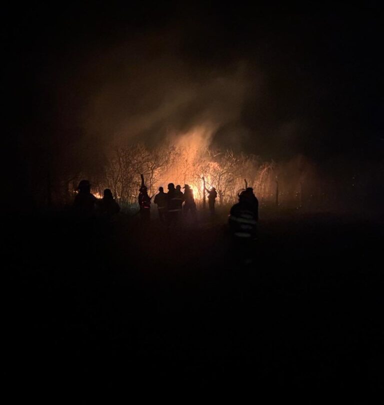 incendio-zone-sudeste