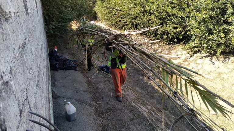 limpieza-canal-chartas-4-1024x576