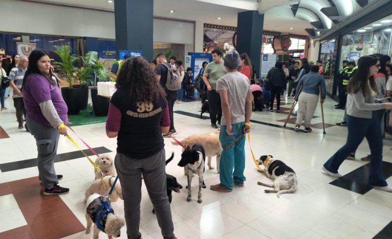 jornada-adopcon-shopping-5-1024x625