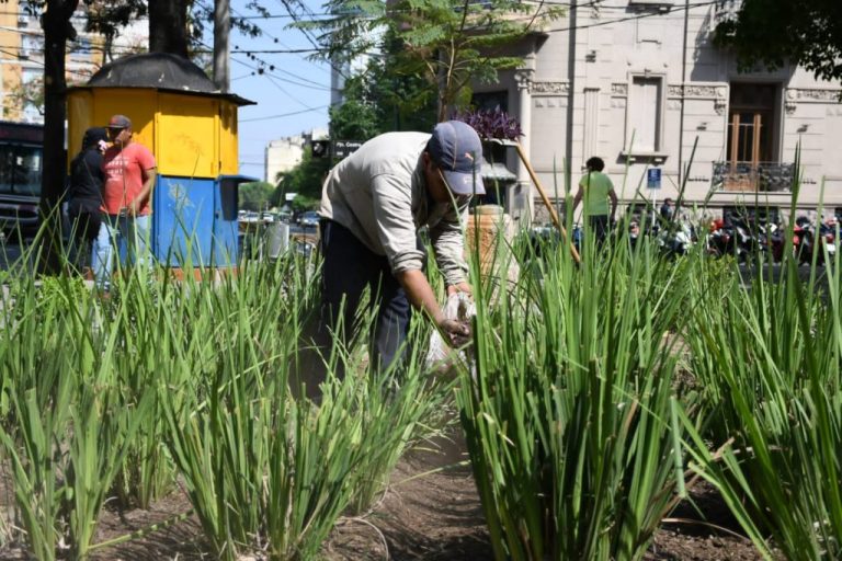 parquizacion-plaza-belgrano-2-1024x683