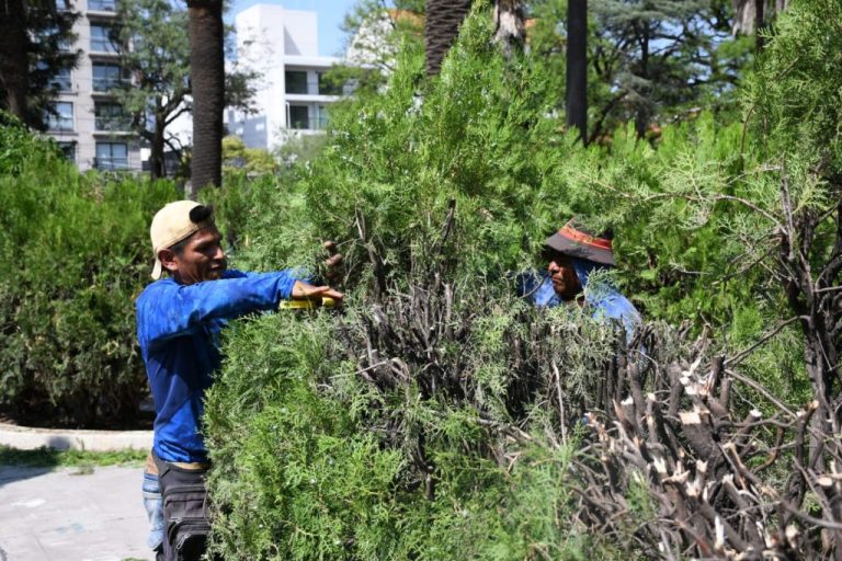 plaza-guemes-4-1024x683