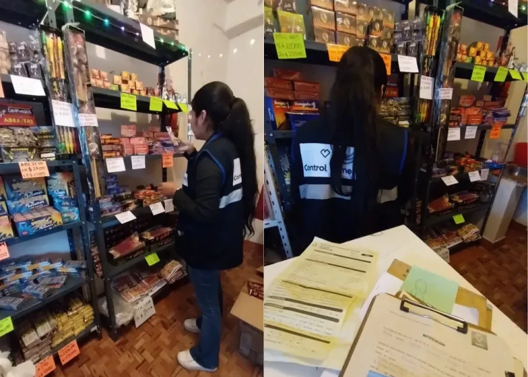 visual-enviado-2-png-e1735211594137-1024x730