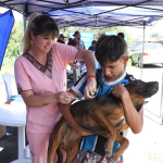 Inició el operativo de bienestar animal en inmediaciones del Relleno Sanitario