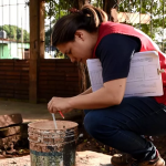 Inició la detección de criaderos de Aedes aegypti en la zona sur de la capital