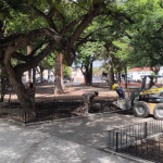 Avanza a buen ritmo la puesta a punto de la plaza Alvarado