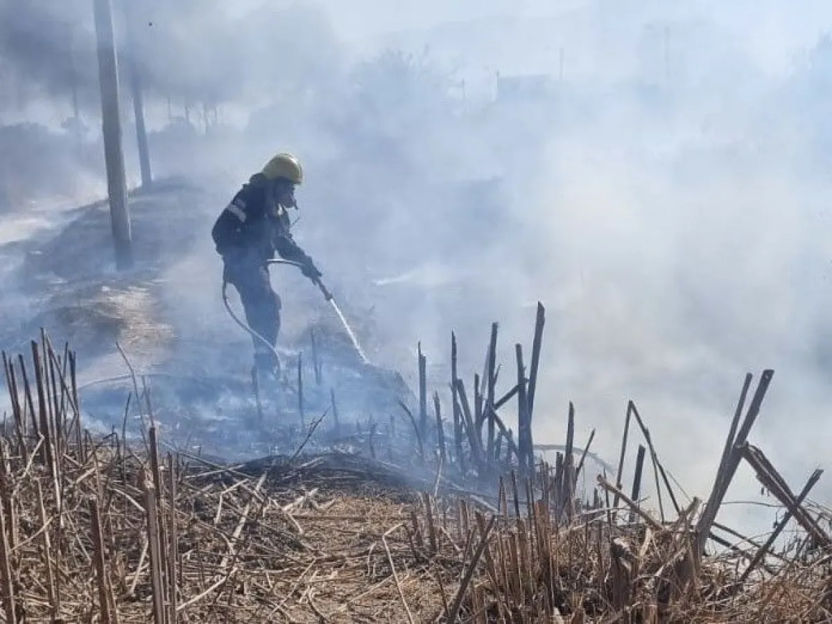 36998-se-extiende-el-alerta-por-viento-zonda-en-salta